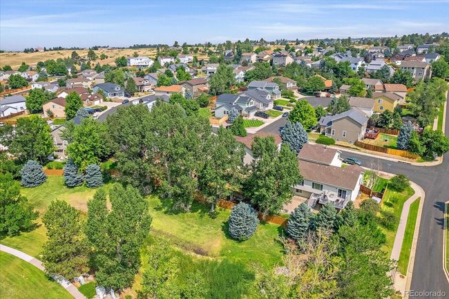 21680 Longs Peak Ln, House other with 4 bedrooms, 4 bathrooms and 3 parking in Parker CO | Image 46