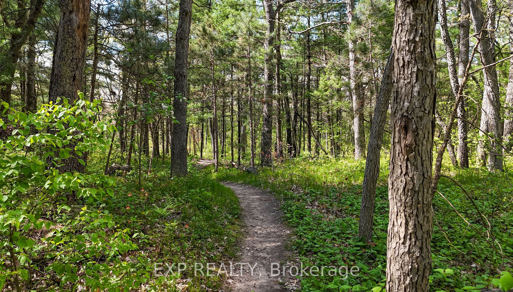 Residential in Lambton Shores 2