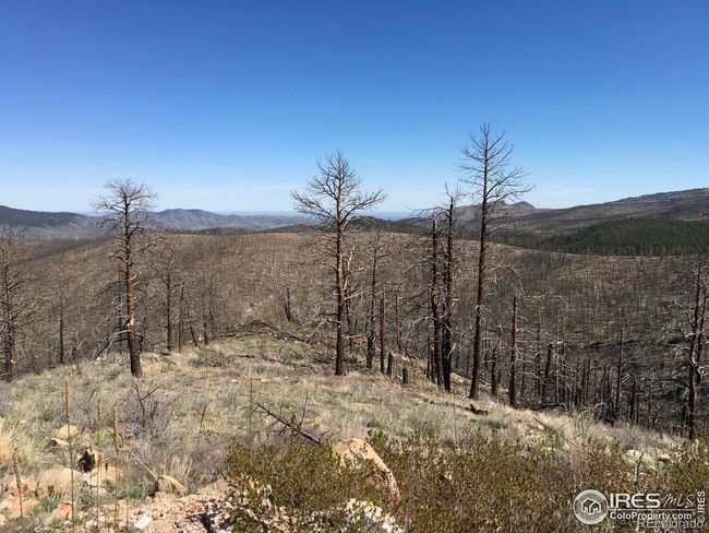 3600 Moondance Way, Home with 0 bedrooms, 0 bathrooms and null parking in Bellvue CO | Image 15