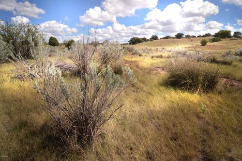 1-1 Tanglehead Ln, Patagonia, AZ, 85624 | Card Image