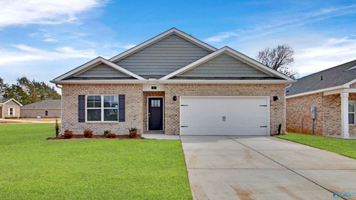 41 Cattail Court, Guntersville, AL, 35976 | Card Image