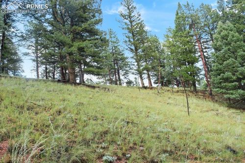 131 Lost Lake Cir, Divide, CO, 80814-9702 | Card Image