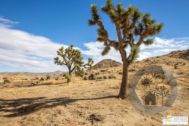 57795 Santa Barbara Dr, House other with 2 bedrooms, 2 bathrooms and 10 parking in Yucca Valley CA | Image 59