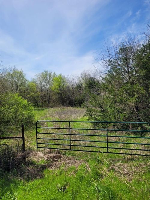 TBD County Road 1076, Celeste, TX, 75423 | Card Image