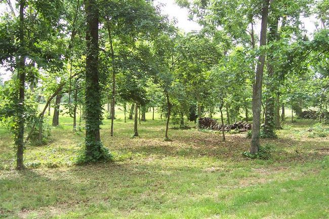 Additional Photo | Image 16