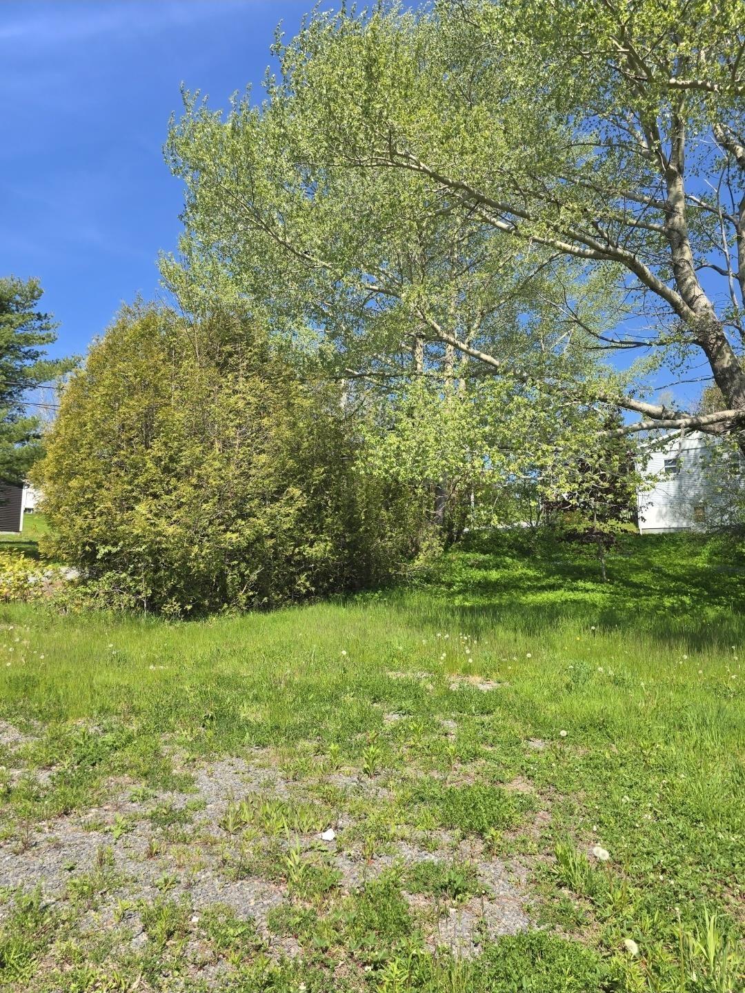 Land in Guysborough 2