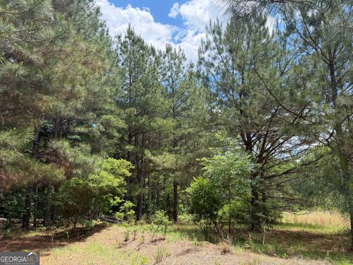 008 George Milling Rd, Toomsboro, GA, 31090 | Card Image