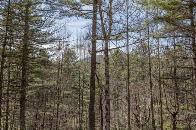 3C - 407 Overlook Rd, Condo with 1 bedrooms, 2 bathrooms and null parking in Sapphire NC | Image 38
