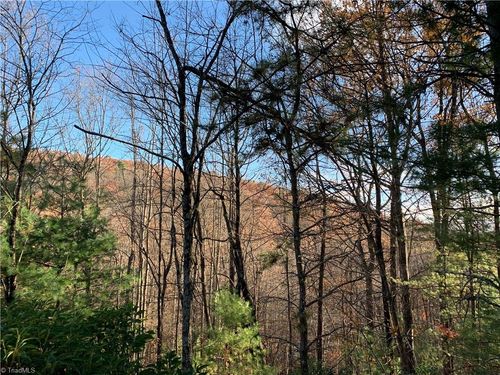 TBD (Lot 1) Dugger Firetower Rd, Lenoir, NC, 28645 | Card Image