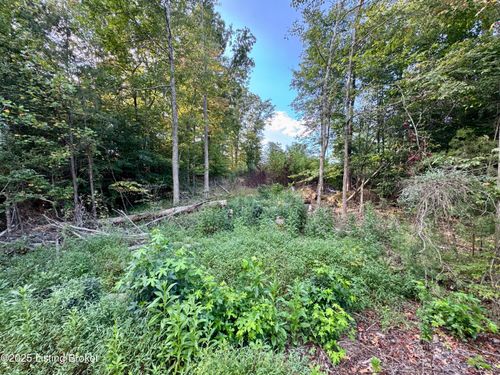 45 Clear Creek Dr, Boston, KY, 40107 | Card Image