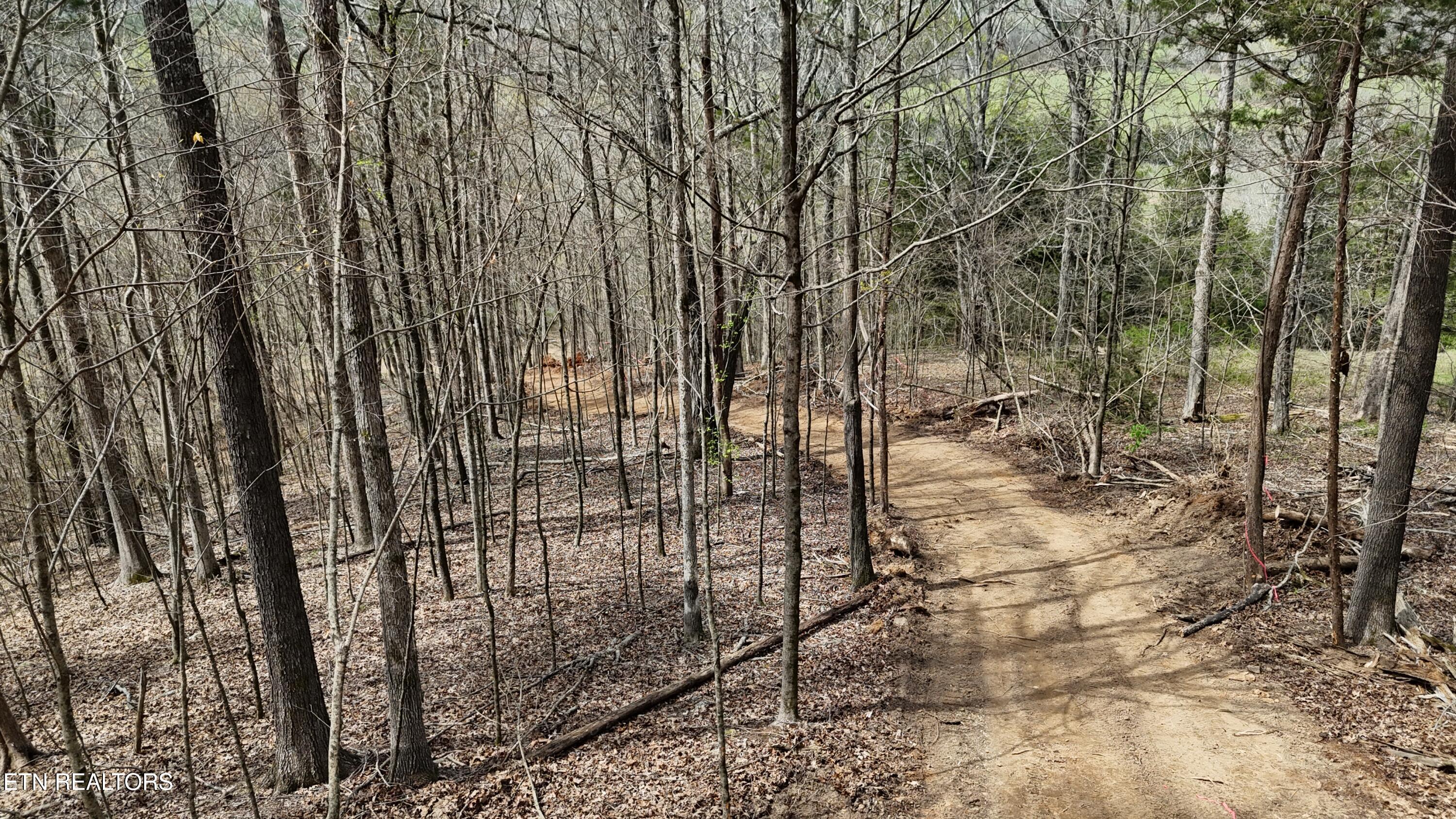 Land in Decatur 2