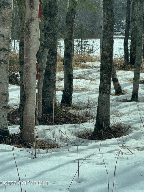L7C B2 Baun Drive, Nikiski/North Kenai, AK, 99635 | Card Image