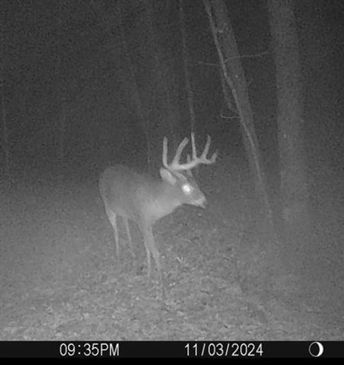 W7113 Leigh Rd, Mauston, WI, 53948-9302 | Card Image