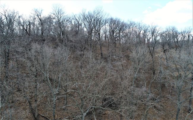 24193 S 632 Lane, Home with 0 bedrooms, 0 bathrooms and null parking in Other OK OK | Image 7
