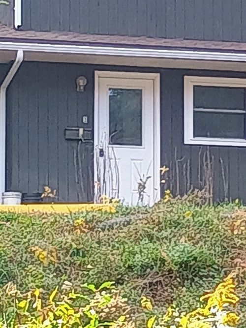 unit-3-39 Brookside Dr, Brattleboro, VT, 05301-4281 | Card Image