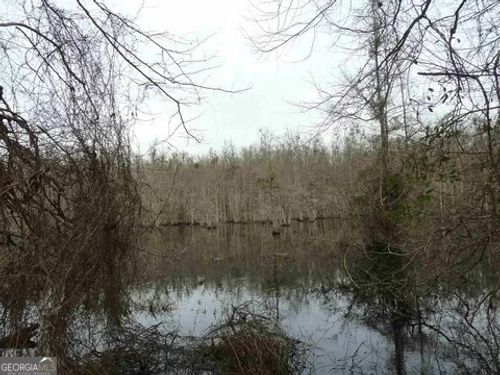 0 Lake Collins Rd, TWIN CITY, GA, 30471 | Card Image