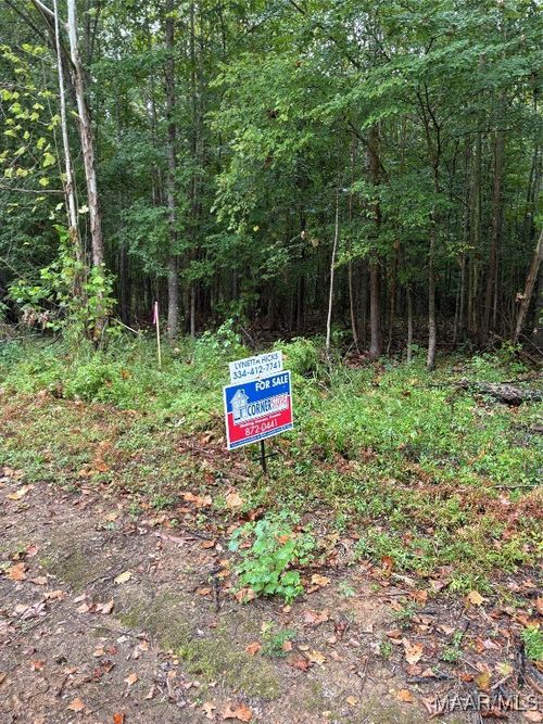 00 County Road 157, Selma, AL, 36701 | Card Image