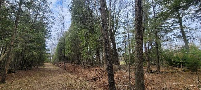 Lt0 E State Highway M35, Home with 0 bedrooms, 0 bathrooms and null parking in INGALLSTON MI | Image 17