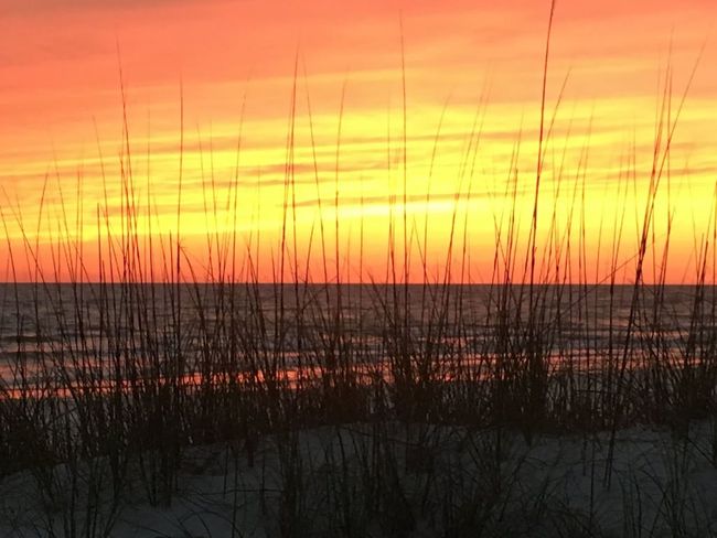 7011 Windward St, House other with 3 bedrooms, 3 bathrooms and 5 parking in Cape San Blas FL | Image 33