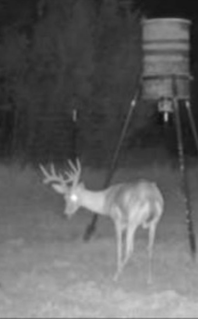 Game camera | Image 37
