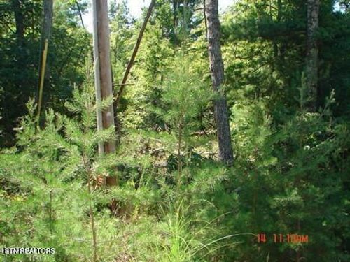 175 Pineridge Loop, Crossville, TN, 38558-6537 | Card Image