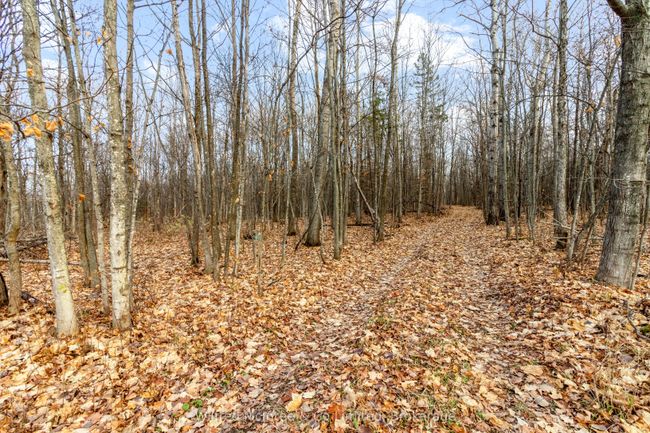 15339 Highway 6, Home with 5 bedrooms, 1 bathrooms and 10 parking in Manitowaning ON | Image 37