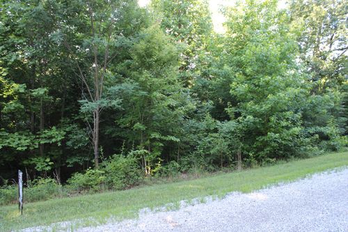 0 Bluff Line, Mc Minnville, TN, 37110 | Card Image