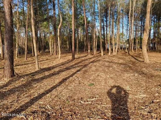 6 Minor Run Rd, Home with 0 bedrooms, 0 bathrooms and null parking in Edward NC | Image 12