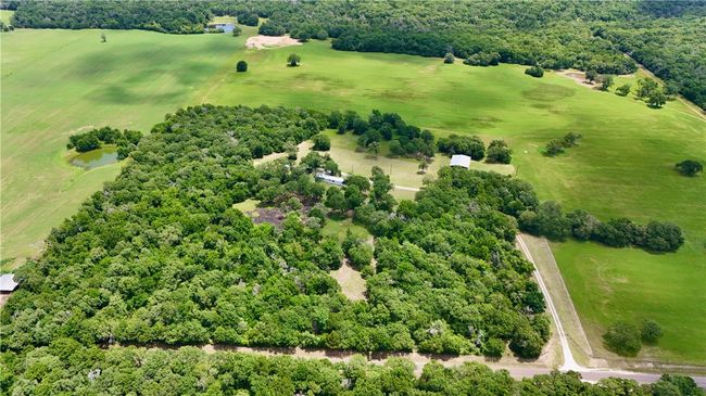 Bird's eye view | Image 15