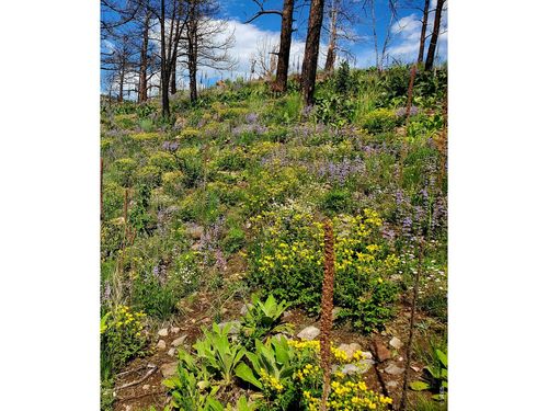 957 Stringtown Gulch Rd, Bellvue, CO, 80512 | Card Image