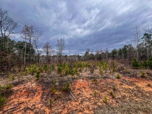 1080 Serenity Pointe Dr, Lincolnton, GA, 30817-0019 | Card Image