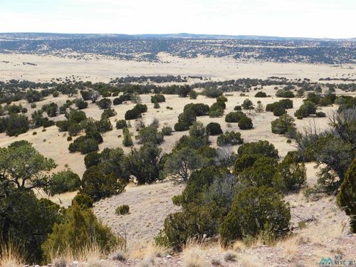 274 Deer, Quemado, NM, 87829 | Card Image