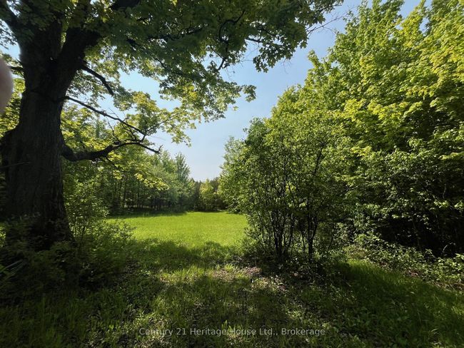 502774 Sideroad 9, Home with 0 bedrooms, 0 bathrooms and null parking in Durham ON | Image 7