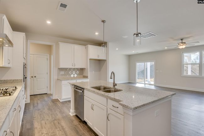 326 Chapin Place Way, House other with 4 bedrooms, 3 bathrooms and null parking in Chapin SC | Image 14
