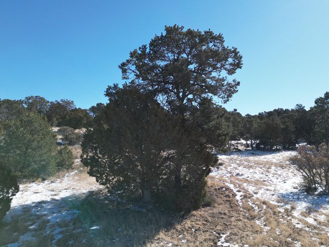 21 Punch Ct, Home with 0 bedrooms, 0 bathrooms and null parking in Tijeras NM | Image 9