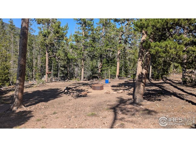 1836 Shoshoni Dr, Home with 0 bedrooms, 0 bathrooms and null parking in Red Feather Lakes CO | Image 24