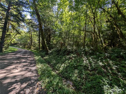 99994 Dowans Creek Rd, Forks, WA, 98331 | Card Image