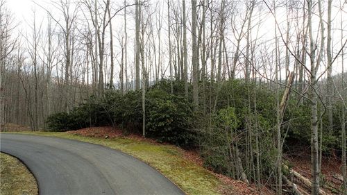 Lot 324 Twin Rivers Dr, Boone, NC, 28607 | Card Image