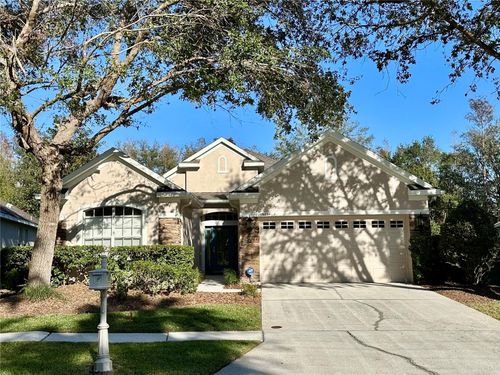 10234 Evergreen Hill Drive, TAMPA, FL, 33647 | Card Image