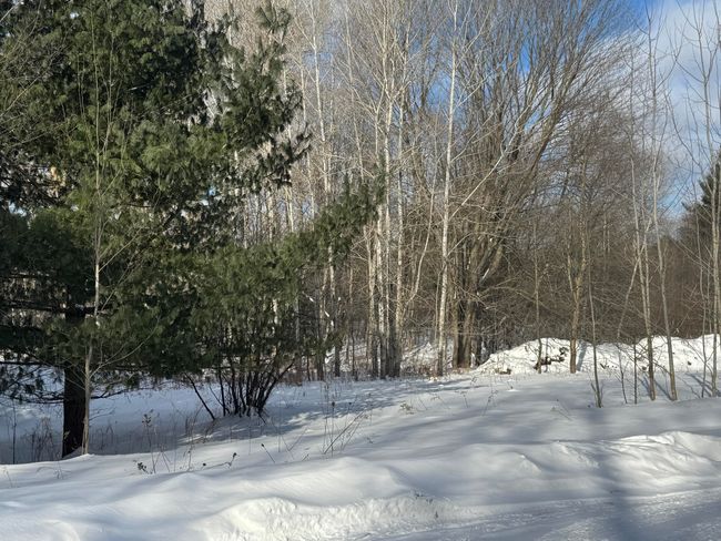 6483 W Falmouth Rd, House other with 3 bedrooms, 2 bathrooms and null parking in Mc Bain MI | Image 45