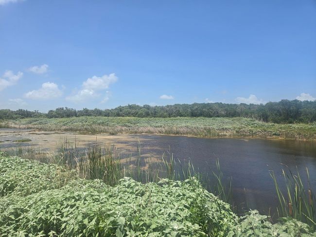 132 Dominguez Rd, Home with 0 bedrooms, 0 bathrooms and null parking in Aransas Pass TX | Image 15