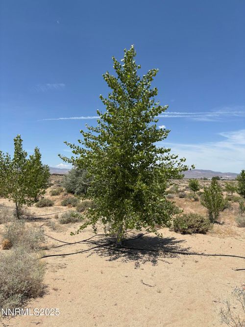 4210 E 6th St, Silver Springs, NV, 89429 | Card Image