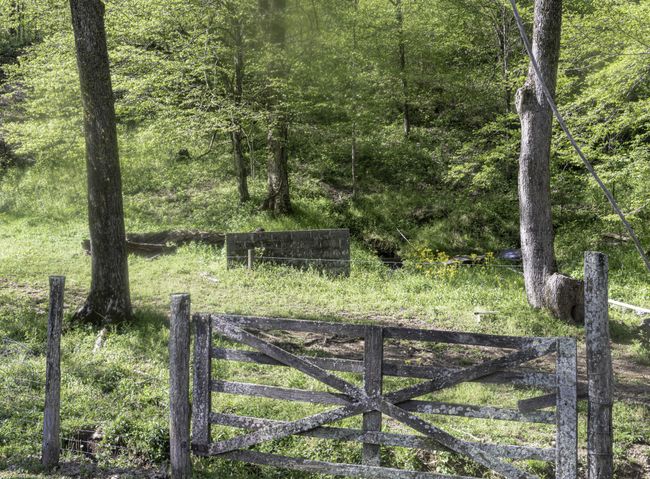 Behind Main House | Image 13