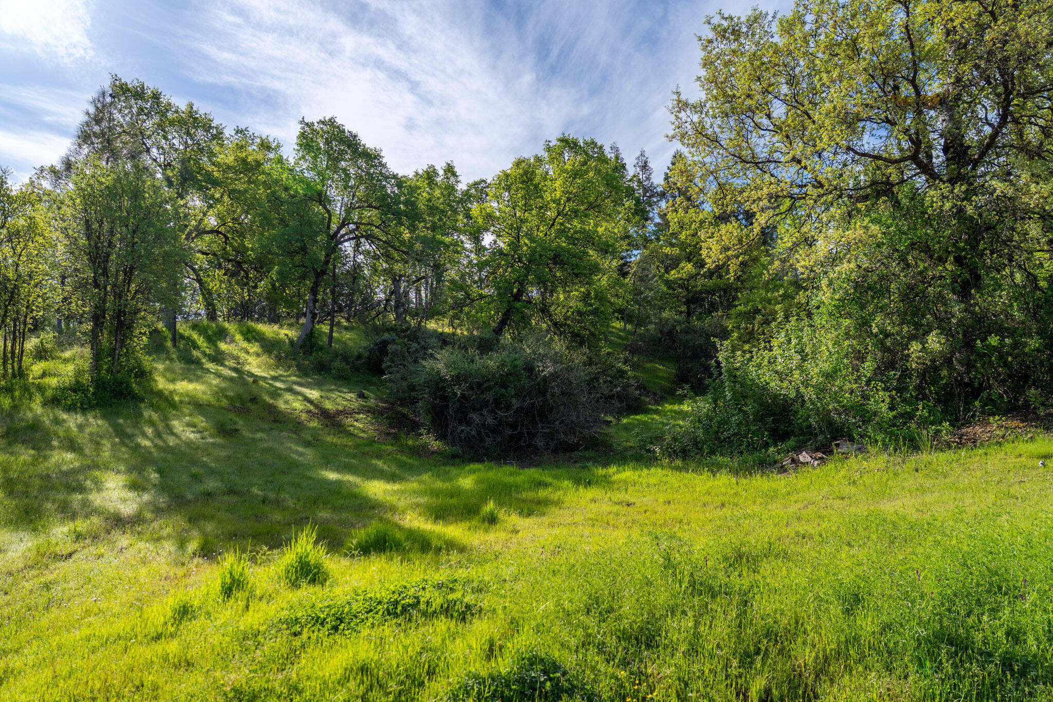 Land in Redding 5