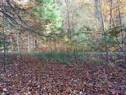 Lot 19 Sugar Maple Way, Del Rio, TN, 37727 | Card Image