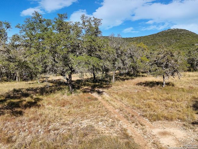 207 Roadrunner Trl, House other with 1 bedrooms, 1 bathrooms and null parking in Utopia TX | Image 4
