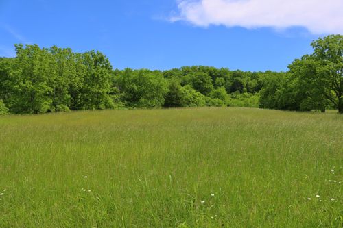 2578 Mcdonald Ferry Rd, Frankfort, KY, 40601 | Card Image