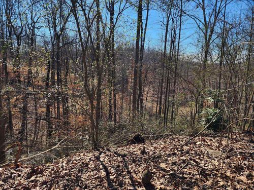 1-Lot 1 Acorn Ave Nw, Cullman, AL, 35058 | Card Image