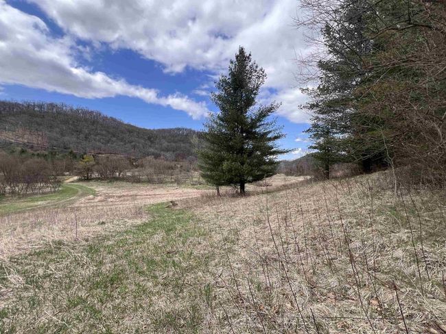 71 +/- Acres Scenic View Road, Home with 0 bedrooms, 0 bathrooms and null parking in Seneca WI | Image 31