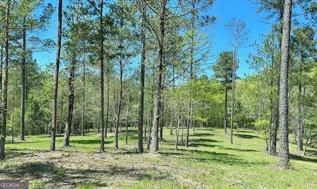 1276 Hornets Bridge Rd, Home with 0 bedrooms, 0 bathrooms and null parking in Elberton GA | Image 12